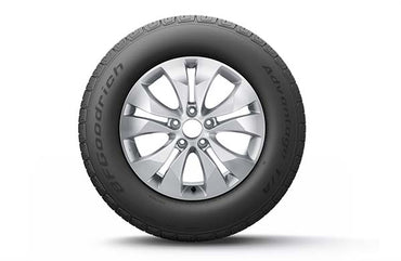 Neumático Bfgoodrich 235/55 R19 ADVANTAGE T/A SUV 105/W